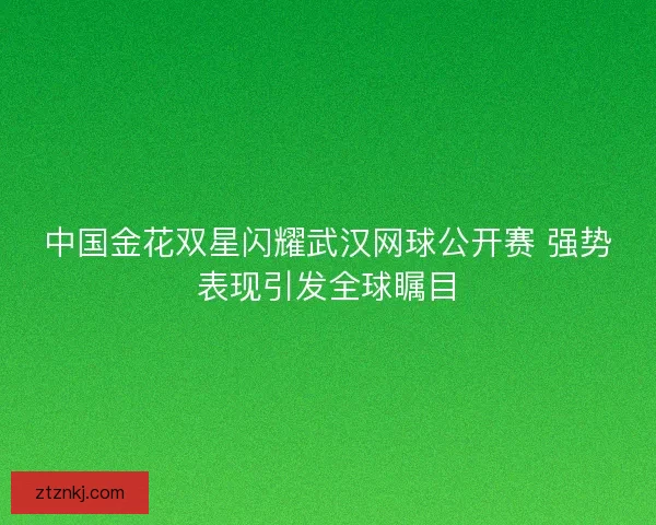 中国金花双星闪耀武汉网球公开赛 强势表现引发全球瞩目
