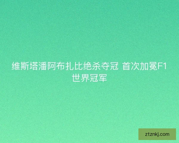 维斯塔潘阿布扎比绝杀夺冠 首次加冕F1世界冠军